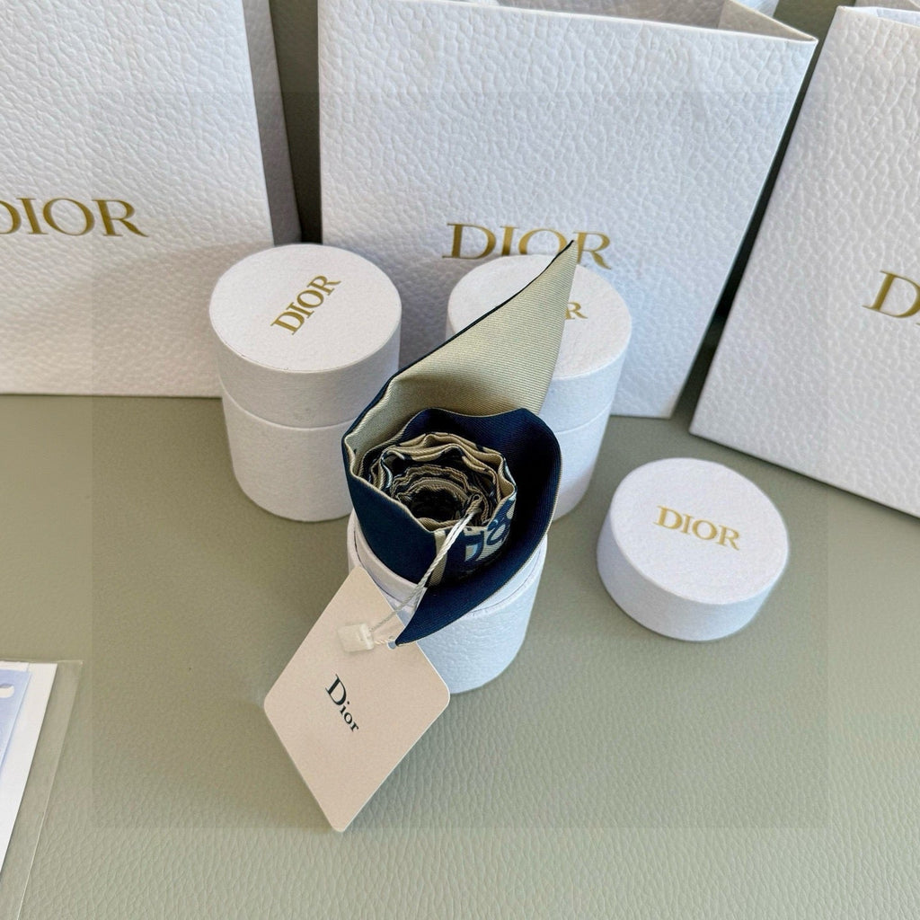 DIOR 26S SCARF 105CM IN SILK 297754
