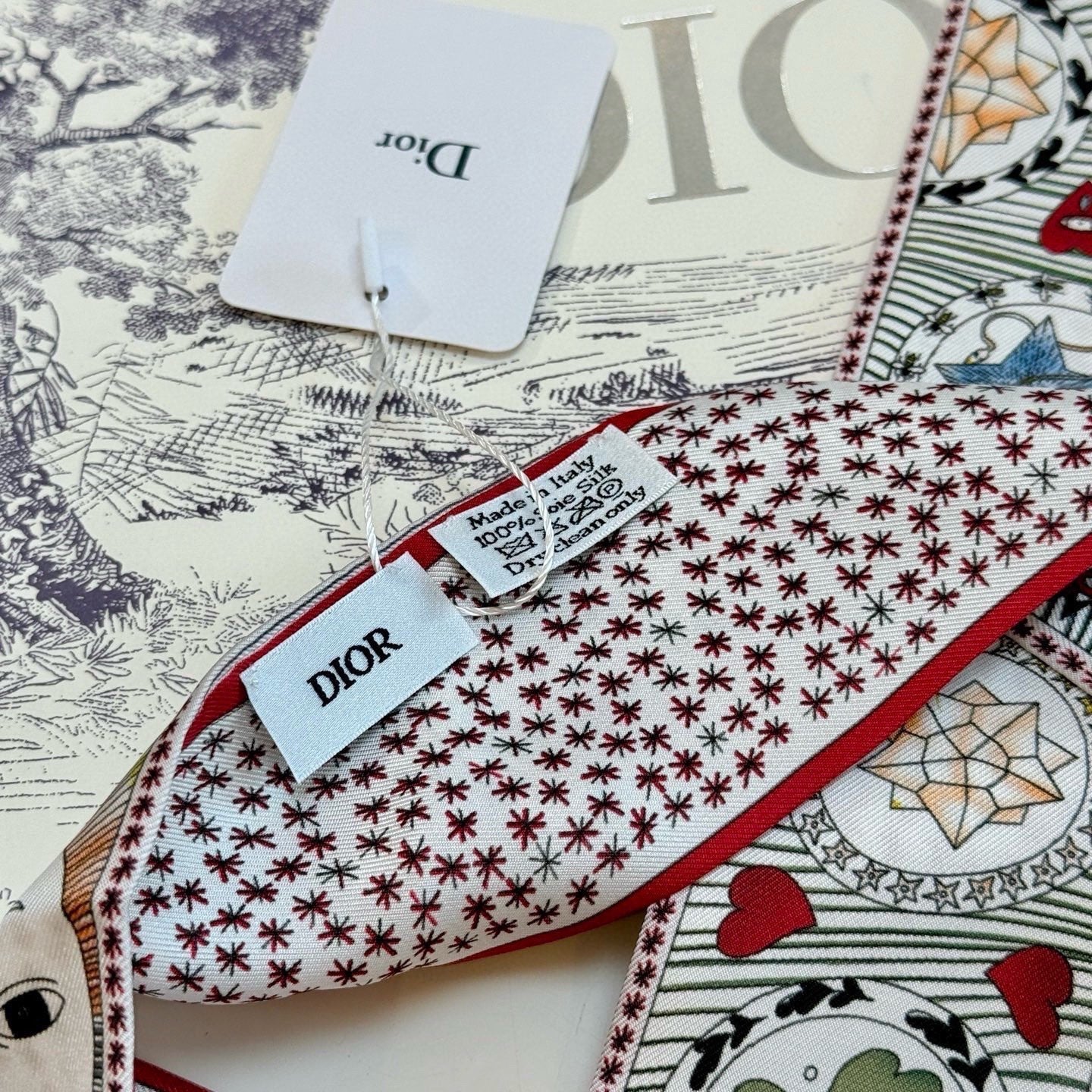 DIOR 26S SCARF 105CM IN SILK 298065