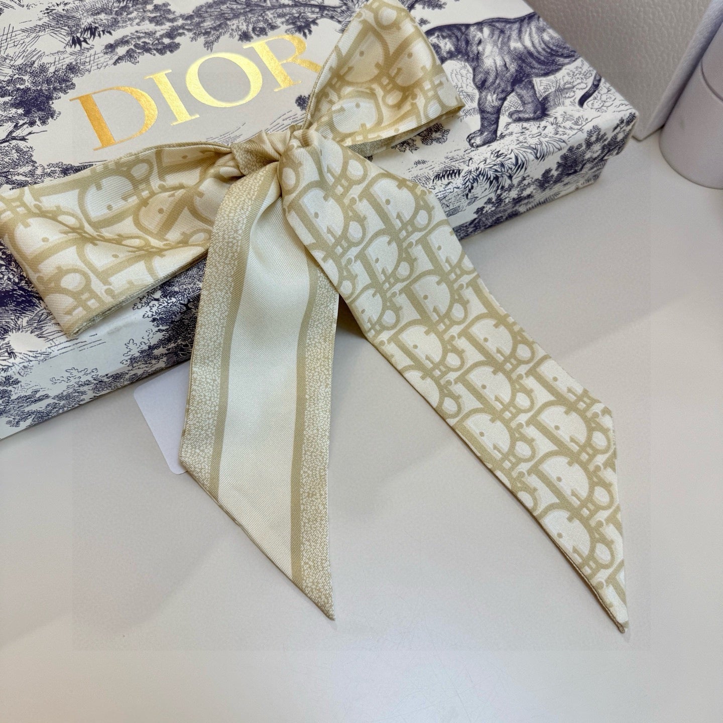 DIOR 26S SCARF 105CM IN SILK 302917
