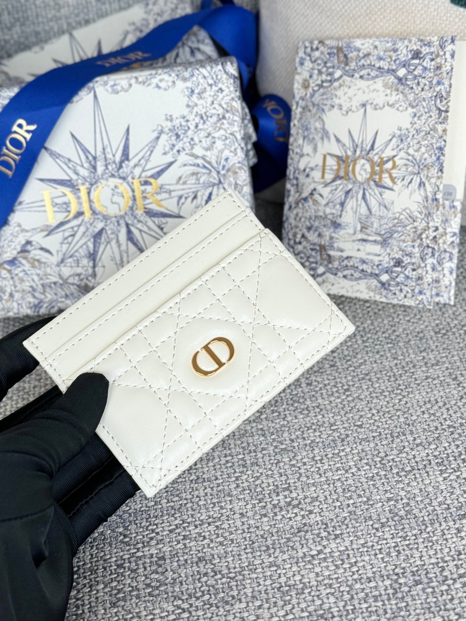 CARO FREESIA CARD HOLDER 10 IN WHITE CANNAGE CALFSKIN